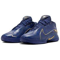 Nike Monopoly x LeBron 22 NRG EP Token HV5146-400 Men EU 42 mėlyna