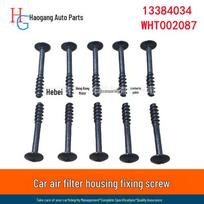 Volkswagen oro filtro korpuso tvirtinimo varžtas - WHT002087 BAS01004 C2S11217 Haogang black