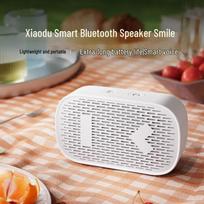 Xiaodu Smart Portable Speaker CN plug (adapter included) (CN version)