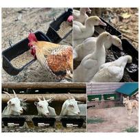 AEE2-2Pack Duck Feeder Fence Hanging Feed Trough Goose Turkey Trough With Clips juoda