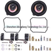 Hyosung GV250/GT250/GT250R Carburetor Repair Kit 1