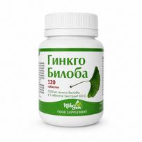 NikSen ginkgo biloba (dviskiautis ginkmedis) 120 mg, 120 tablečių