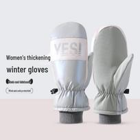 Women's Waterproof Touch Screen Snowboard Gloves – Thick & Warm for Winter Cycling One Size gray