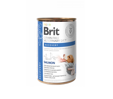 Brit GF Veterinary Diets konservai šunims ir katėms Recovery 400g. x 6vnt.