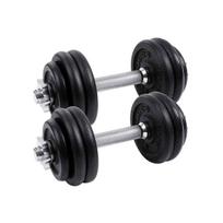Svarmenų rinkinys SYL30T 2 x 15 kg