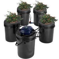 RDWC recirkuliacinė hidroponikos sistema, 4 kibirai po 18,9 L