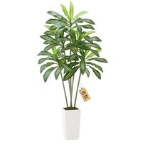 Dirbtinė dracena su baltu vazonu, 1829 mm, vidaus ir lauko dekorui