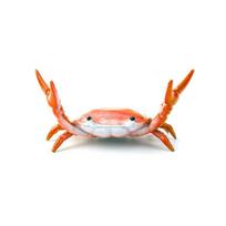 Desktop Organizer Crab Lobster Pen Holder Multifunctional Pen Storage Rack  Award Gifts 1 white