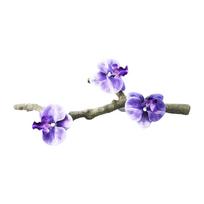 Reptile Corner Branch Vine for Lizard Terrarium Plant Decoration Life Like Climbing Vine Habitats Decors for Chameleons T2 purple
