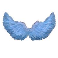 Angelo plunksnų sparnai su elastiniais dirželiais Ryškios spalvos lengvi kostiumai Cosplay Wings fotografijos rekvizitai šviesiai mėlyna spalva