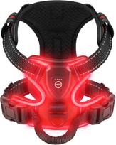 LED Šviečiantys Švytintys Šunų Petnešos Būtinos Šunų Vedžiojimo Saugumui Naktį Šuns Liemenė su Trimis LED Šviesos Režimais Įkraunama S red