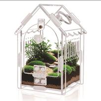 Small Reptile Enclosure Acrylic Spider Mantis Terrarium Sturdy Box with Slanted Roof Ventilation for Terrarium Accessories gray