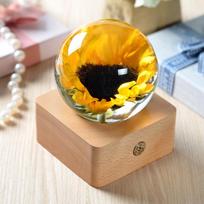 Saulėgrąžos naktinė lemputė: 100 kristalinių konservuotų gėlių medinėje dervos dovanoje 10.5cm x 10.5cm x 5cm high yellow