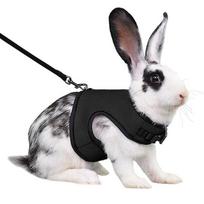 Mesh Breathable Ferret Bunny Harness Leash Set of designed for Small Creatures Rabbit Hamsters Summer Walking Breathable Mesh Pet Harness M-suit 0.4-0.8kg juoda