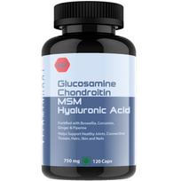 Glucosamine Chondroitin MSM | Pain and Joint Support Supplement | Hyaluronic Acid Collagen | Joint Cartilage Support and Muscle Health | 120 Caps