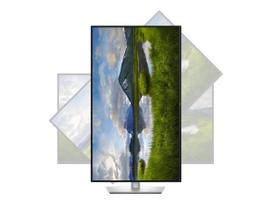 Dell | P3225QE | 32 " | IPS | 4K UHD | 16:9 | 100 Hz | 5 ms | 3840 x 2160 pixels | 350 cd/m² | HDMI ports quantity 1 | Warranty 60 month(s)