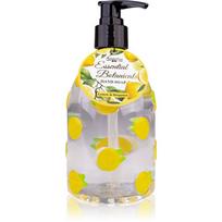 Accentra Essential Botanicals Hand Soap rankų muilas su pompa 300 ml