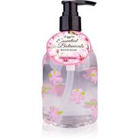 Accentra Essential Botanicals Hand Soap rankų muilas su pompa 300 ml
