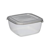 Šaldytuvo indas Polar, su dangteliu, PPR, 2,5 l, 20 x 20 cm, H 9,9 cm, vnt
