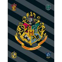 Vaikiškas pledas fleece tipo 100x150 cm Harry Potter – Jerry Fabrics