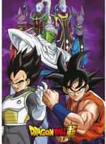 Toei Animation Dragon Ball Super polar blanket