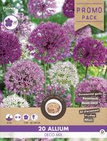 Svogūninės gėlės dekoratyvinis česnakas DECO MIX, 10 - 12 mm, 20 vnt.