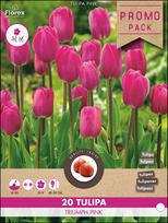 Svogūninės gėlės tulpė TRIUMPH PINK, 11 - 12 mm, 20 vnt.