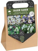 Svogūninės gėlės gėlių mišinys SHADOW GARDEN, 40 vnt.