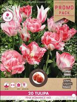 Svogūninės gėlės tulpė PINK ROMANCE MIX, 11 - 12 mm, 20 vnt.