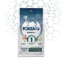 FORZA10 Monodiet Medium Adult šunims su elniena ir bulvėmis