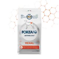 FORZA10 VetDiet RENAL All Breed sausas maistas suaugusiems šunims