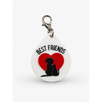 Best Friends - NFC pakabukas augintiniui