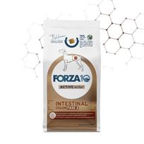 FORZA10 VetDiet INTESTINAL COLON Fase 2 All Breed sausas maistas suaugusiems šunims