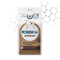 FORZA10 VetDiet INTESTINAL COLON Fase 1 All Breed sausas maistas suaugusiems šunims