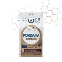 FORZA10 VetDiet INTESTINAL COLON Fase 1 Mini/Toy sausas maistas suaugusiems šunims
