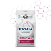 FORZA10 VetDiet INTESTINAL All Breed sausas maistas suaugusiems šunims