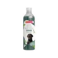 Beaphar Black Coat Shampoo šampūnas juodo ir tamsaus kailio šunims 250 ml