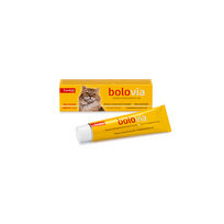 Candioli Bolo Via, 50 g – pasta nuo plaukų kamuoliukų katėms