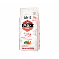 Brit Fresh Beef with Pumpkin Puppy Large sausas pašaras šunims
