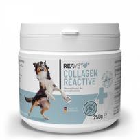 ReaVET kolagenas reactive milteliai šunims - 250g