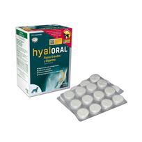 Hyaloral Large and  Giant papildas sąnarių funkcijai gerinti 120 tab