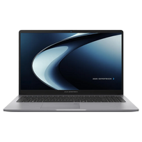 Asus ExpertBook PM1503CDA-S70453X 15.6"