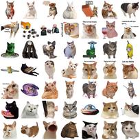 50Pcs Cat Memes Collection Stickers Waterproof Vinyl Decals For Laptops Water Bottles Phones Skateboards Water Bottle Stickers beige