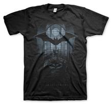 The Batman I Am The Shadows Official TShirt Unisex T-Shirt S black