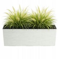 Ilga kremine vazona 56x19cm su ideklu sodinimui