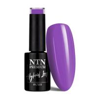 Ilgalaikis gelinis nagų lakas NTN Premium UV/LED, 173, 5 g