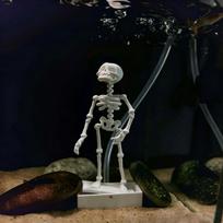 Oro varomas šokantis skeletas akvariumo burbuliatorius, judantis deguonies skeletas, akvariumų entuziastams white