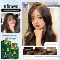 Caiyunlai Avocado Bubble Hair Dye: Plant-Based Cream for Gray Coverage, Gentle on Hair, and Long-Lasting Color. gray
