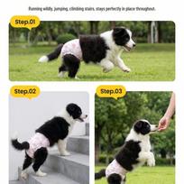 Pet Pull-Up Diapers for Female Dogs, Dog Period Pants, Physiological Pants, Pet Diapers & Sanitary Pads for Dogs and Cats XS (4-6 jin)