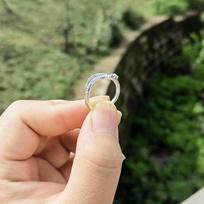 Exquisite Green-Eyed Spirit Snake Adjustable Ring for Women – Fashionable, Unique Design Open Adjustable